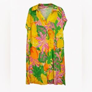 C&C California Fruit & Floral Linen Blend Mini Dress